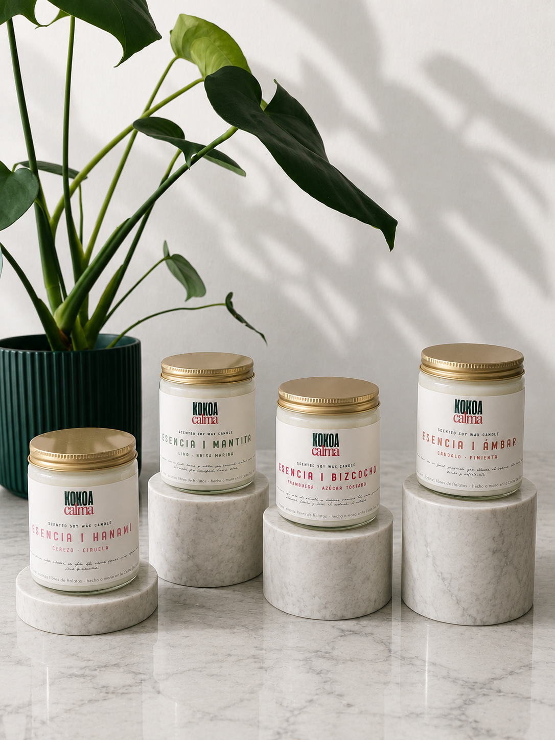 Pack Los 4 Aromas Esenciales