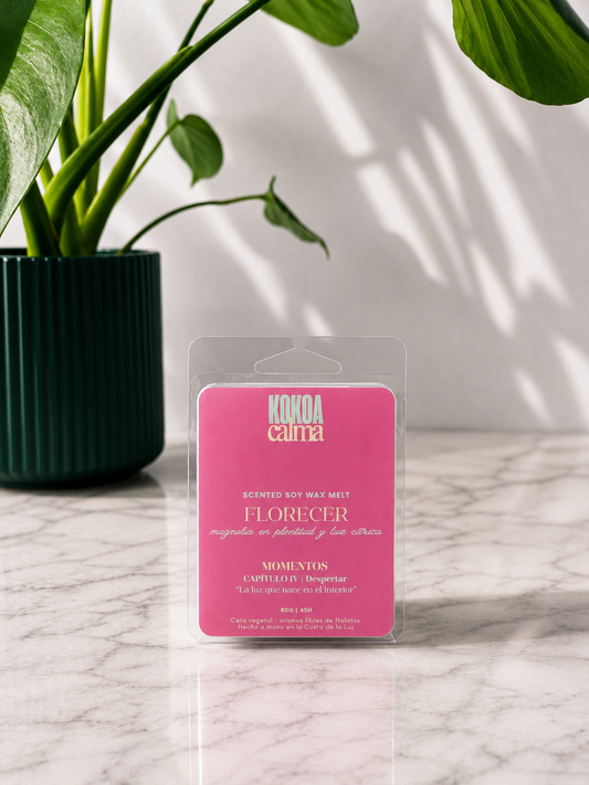 Wax melt Florecer | Momentos